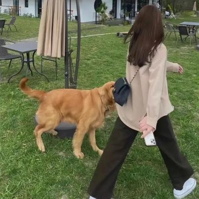 圣诞许个愿